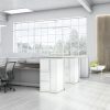 Global Workstation Evolve