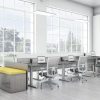 Global Workstation Evolve